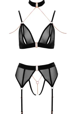 Abierta Fina Bra and Suspender Set