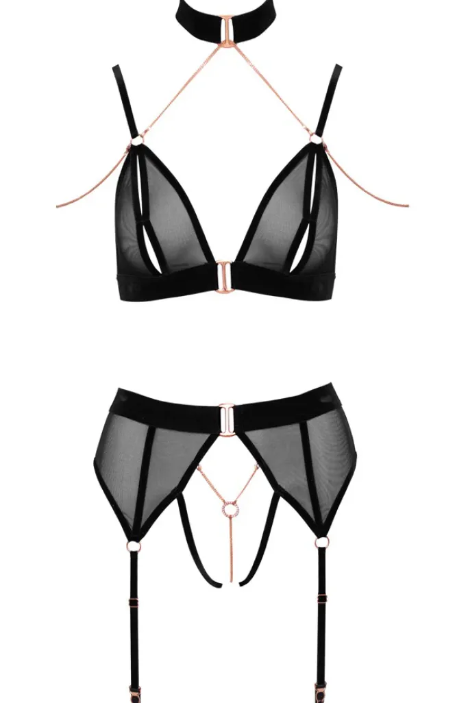 Abierta Fina Bra and Suspender Set
