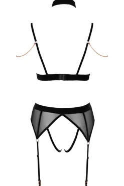 Abierta Fina Bra and Suspender Set