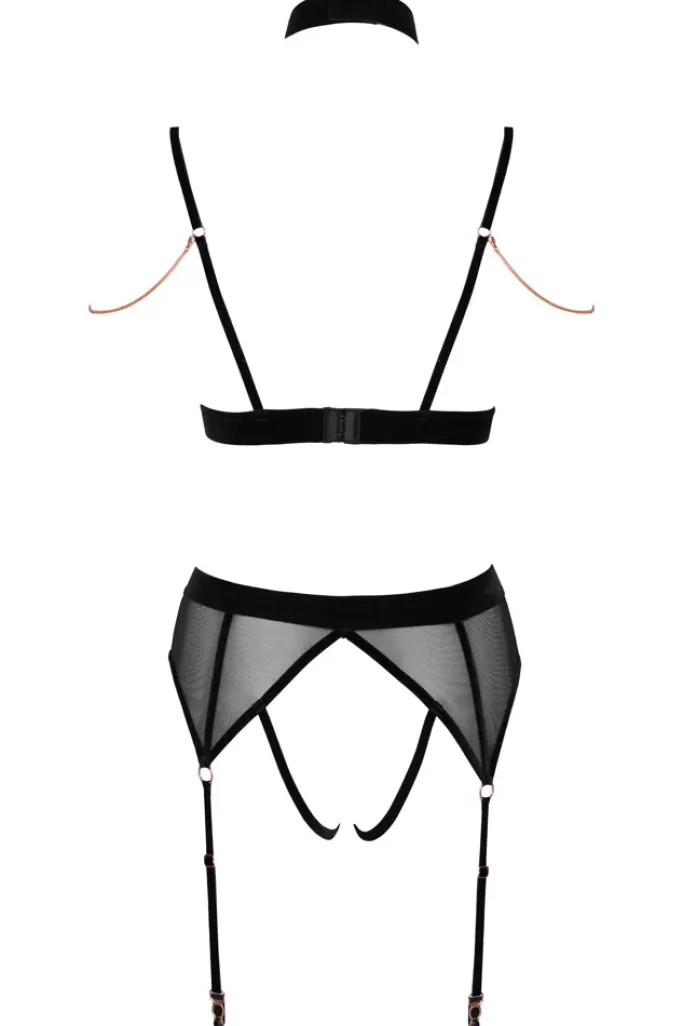 Abierta Fina Bra and Suspender Set