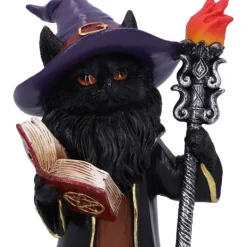 Nemesis Now Albus Wizard Cat Figurine
