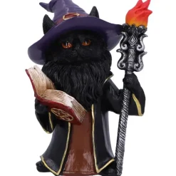 Nemesis Now Albus Wizard Cat Figurine