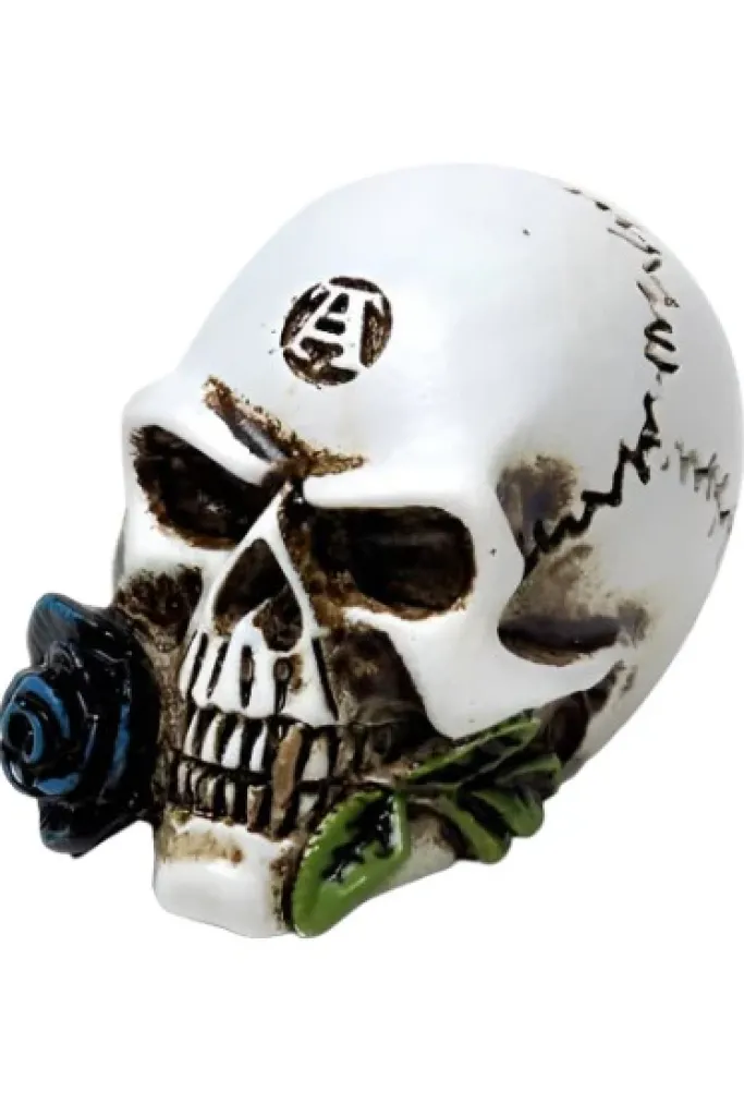 Alchemy Gothic Alchemy Alchemist Skull Miniature