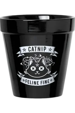Alchemy Gothic Alchemy Catnip Plant Pot