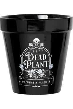 Alchemy Gothic Alchemy Dead Plant Plant Pot