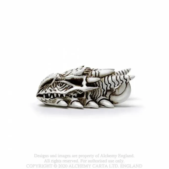Alchemy Gothic Alchemy Dragon Skull Miniture