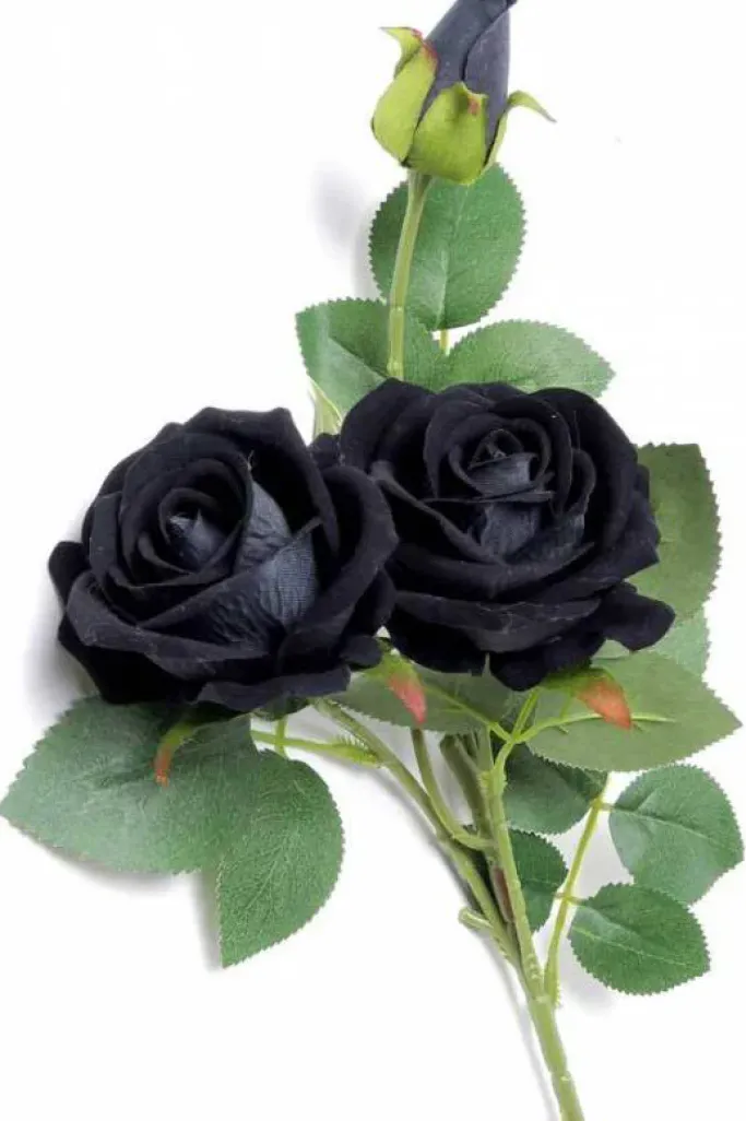 Alchemy Gothic Black Rose Spray
