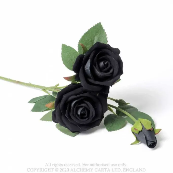 Alchemy Gothic Black Rose Spray