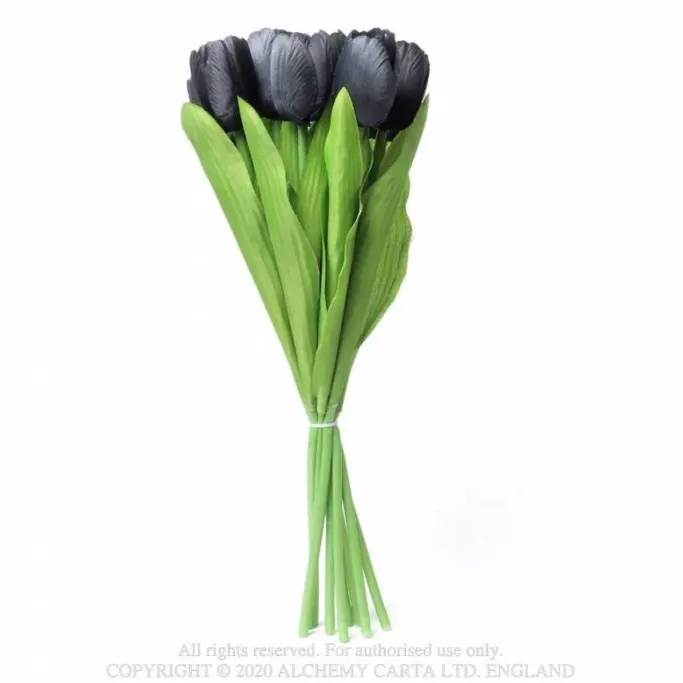 Alchemy Gothic Black Tulips Bunch