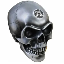 Alchemy Gothic Metalised Alchemist Skull V41