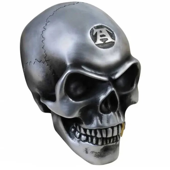Alchemy Gothic Metalised Alchemist Skull V41