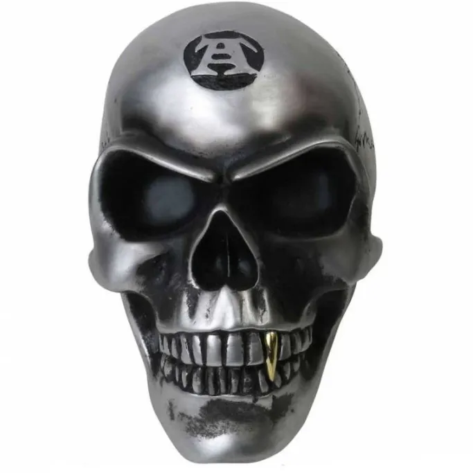 Alchemy Gothic Metalised Alchemist Skull V41