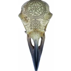Alchemy Gothic Omega Raven Skull V67