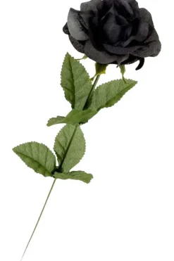 Alchemy Gothic Single Black Rose