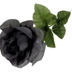 Alchemy Gothic Single Black Rose