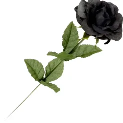 Alchemy Gothic Single Black Rose