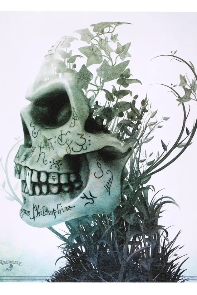 Something Different Alchemy Satyr Sancti Picture