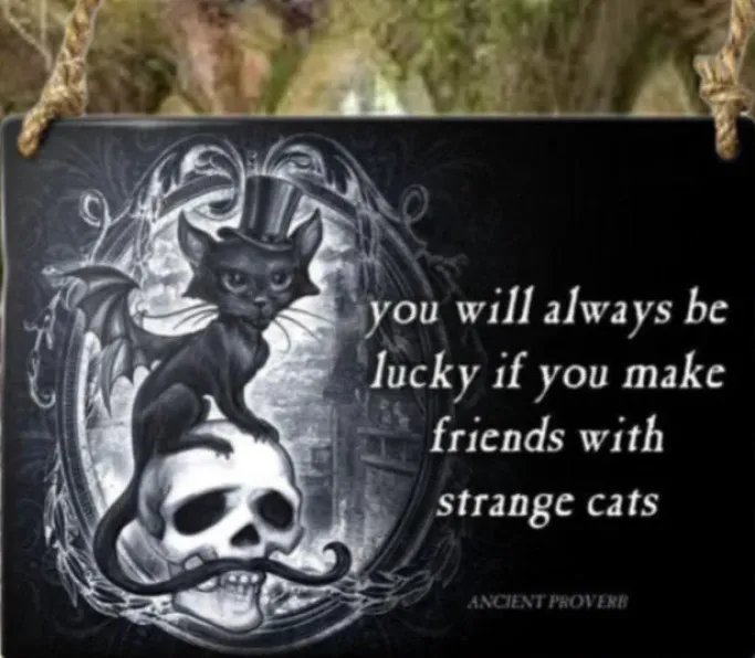 Alchemy Gothic Alchemy Strange Cats Meowstophelex Plaque