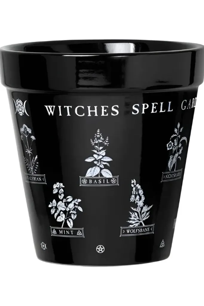 Alchemy Gothic Alchemy Witches Spell Garden Plant Pot