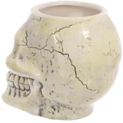 Puckator Ancient Skull Head Gothic Mug, Gift Boxed