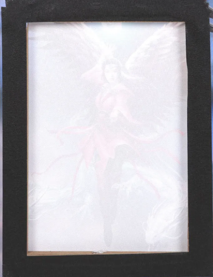 Something Different Anne Stokes Air Element Sorceress Picture