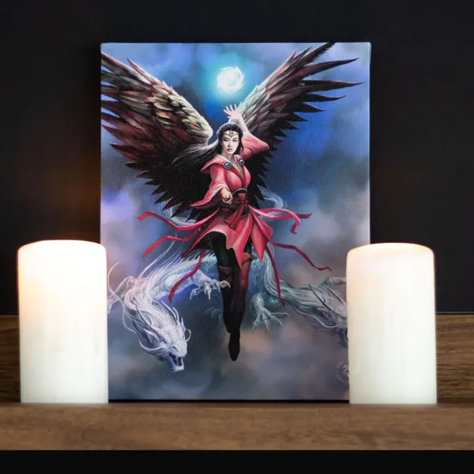Something Different Anne Stokes Air Element Sorceress Picture
