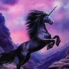 Something Different Anne Stokes Black Unicorn Picture