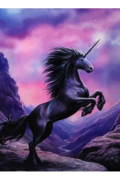 Something Different Anne Stokes Black Unicorn Picture