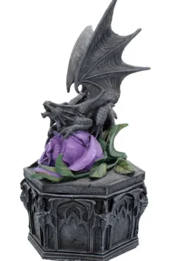 Nemesis Now Anne Stokes Dragon Beauty Box