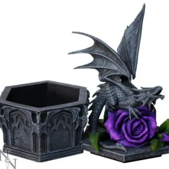 Nemesis Now Anne Stokes Dragon Beauty Box