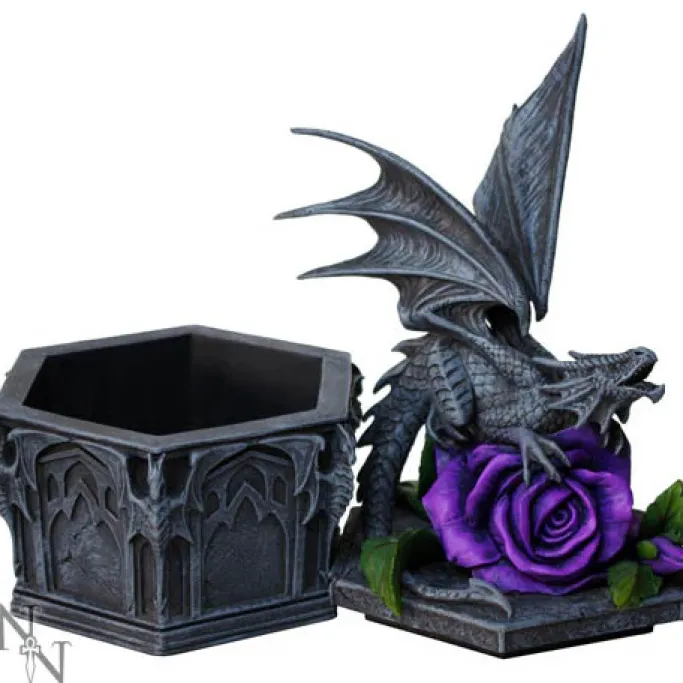 Nemesis Now Anne Stokes Dragon Beauty Box