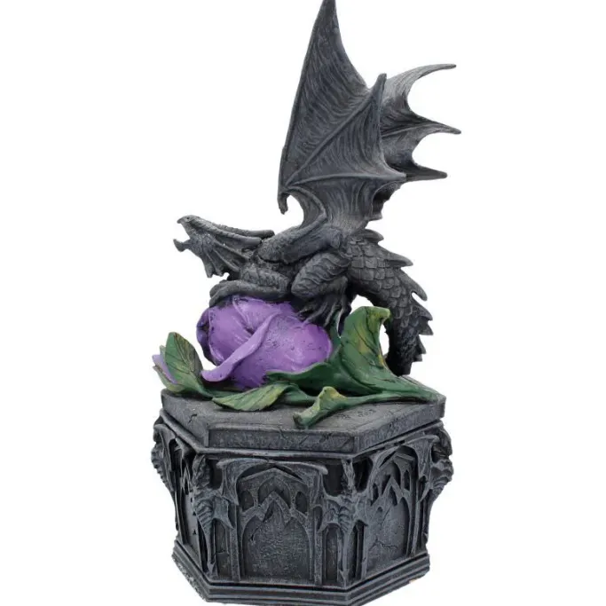 Nemesis Now Anne Stokes Dragon Beauty Box