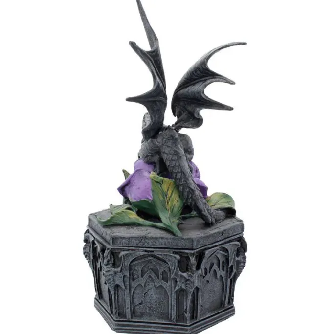 Nemesis Now Anne Stokes Dragon Beauty Box