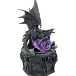 Nemesis Now Anne Stokes Dragon Beauty Box