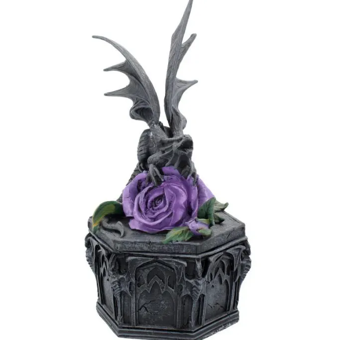 Nemesis Now Anne Stokes Dragon Beauty Box