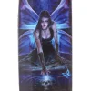 Something Different Anne Stokes Immortal Flight Glasses Case