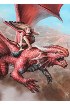 Something Different Anne Stokes Sky Surfer Picture
