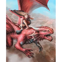 Something Different Anne Stokes Sky Surfer Picture