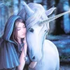 Something Different Anne Stokes Solace Unicorn Picture