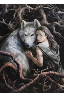 Something Different Anne Stokes Soul Bond Wall Picture