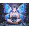 Something Different Anne Stokes Spell Weaver Fairy Picture