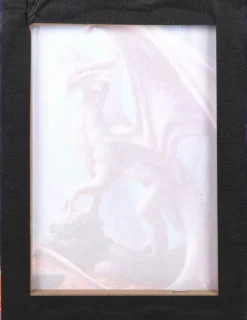 Something Different Anne Stokes Treasure Trove Picture