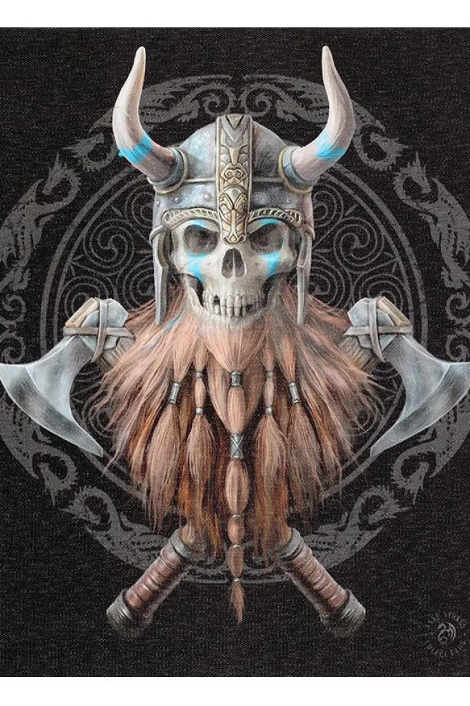 Something Different Anne Stokes Viking Skull Picture