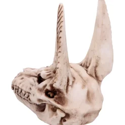 Nemesis Now Anubis Skull