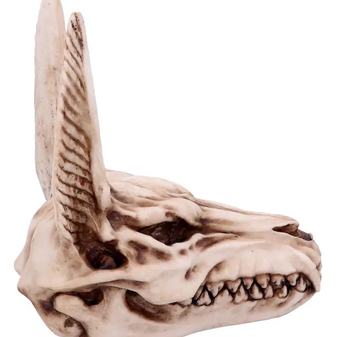 Nemesis Now Anubis Skull