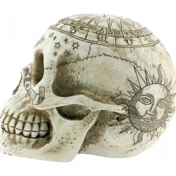 Nemesis Now Astrological Skull