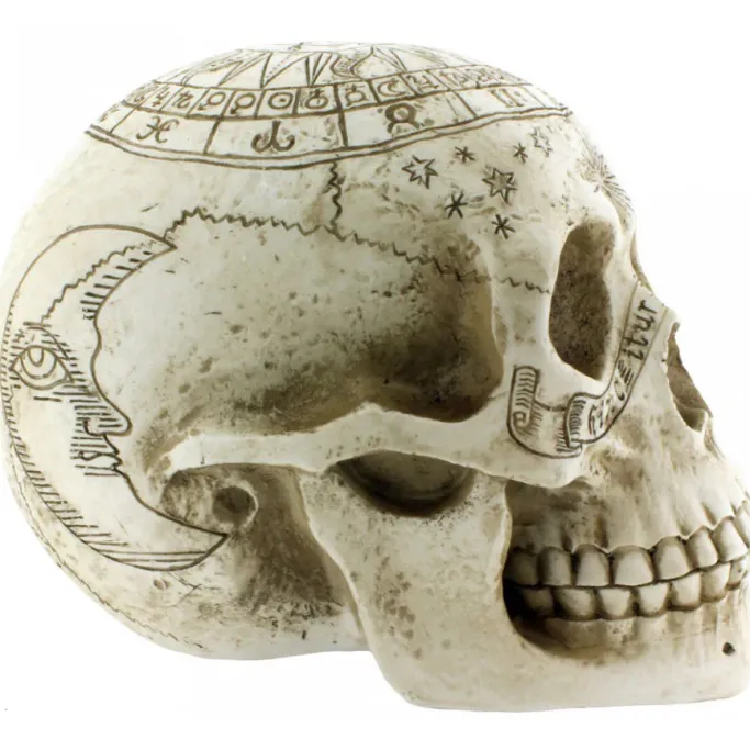 Nemesis Now Astrological Skull