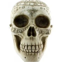 Nemesis Now Astrological Skull