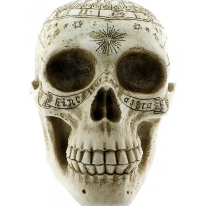 Nemesis Now Astrological Skull