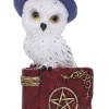 Nemesis Now Avian Spell Red
